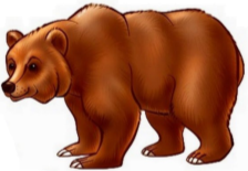 Рисунок медведя для детского сада (46 фото) » рисунки для срисовки на  Газ-квас.ком